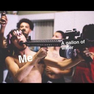 Meet your Posher, Goose